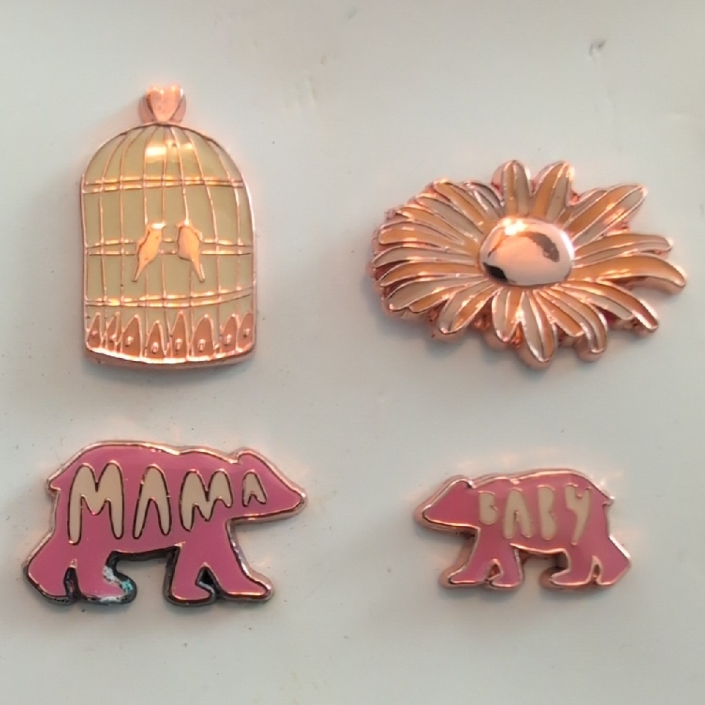 Charming Enamel Pin Set
